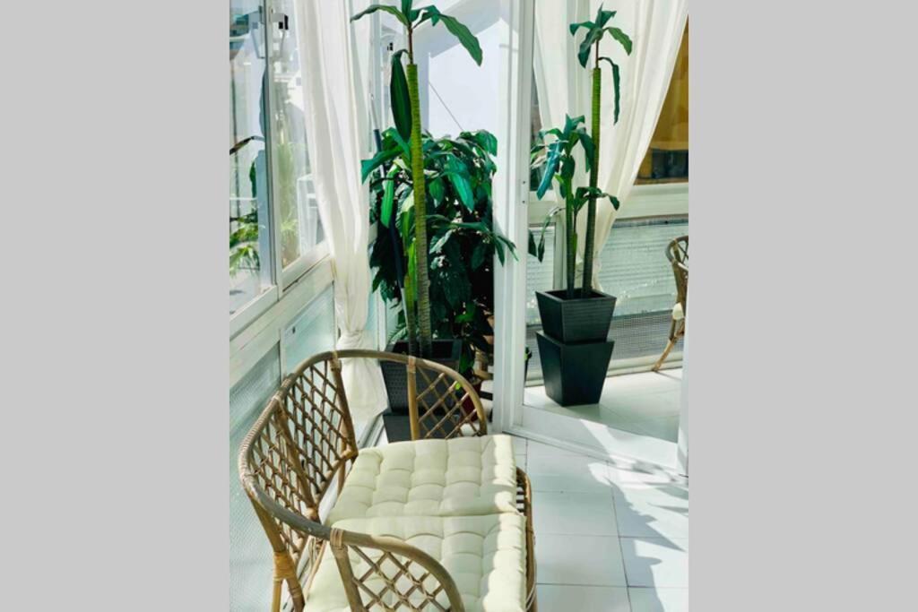 Begonia City Center Apartment 230 By Namaste Elite ตอร์เรโมลิโนส ภายนอก รูปภาพ