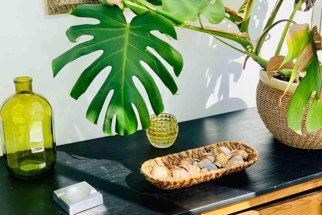 Begonia City Center Apartment 230 By Namaste Elite ตอร์เรโมลิโนส ภายนอก รูปภาพ